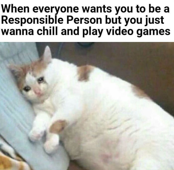 Pretty much sums it up