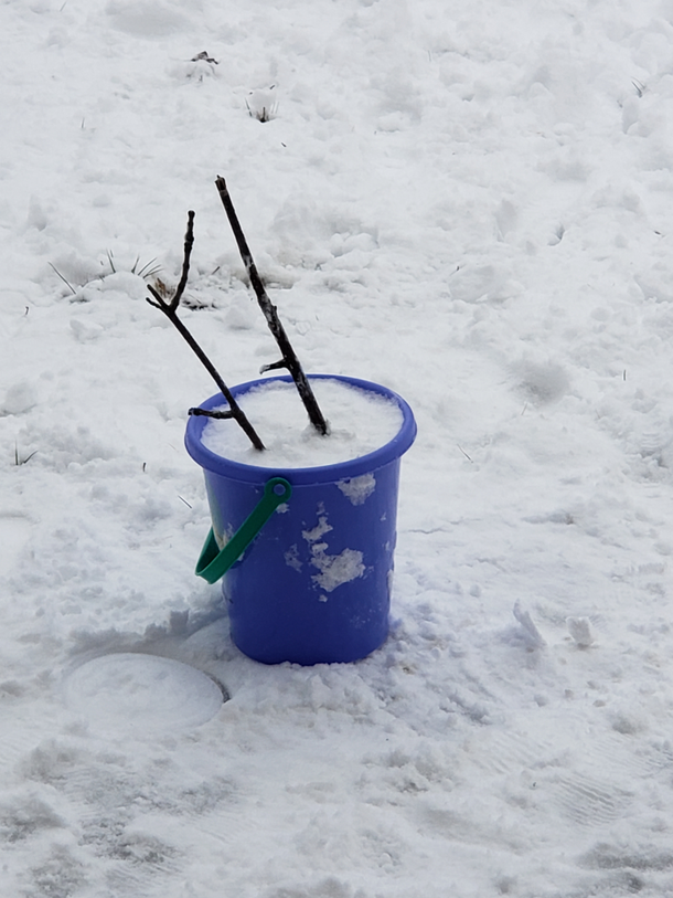 Pretty sure my kids killed a snowman and are about to dispose of the body