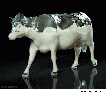 Pretty sure this is what the inside of a cow looks like Pretty sure