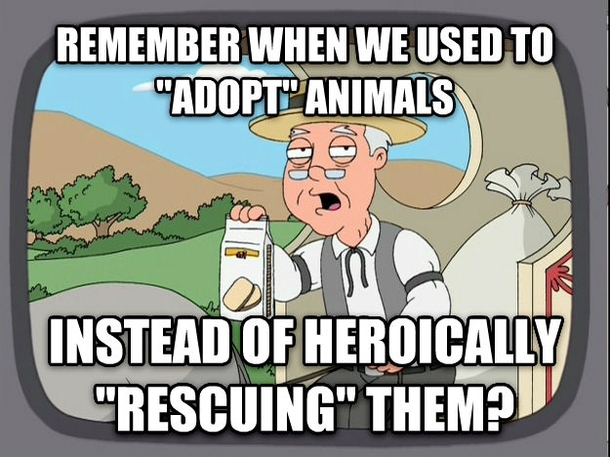 Pretty sure you just went to the poundanimal shelter which likely didnt involve scaling a burning building or breaking into an evil villains lair