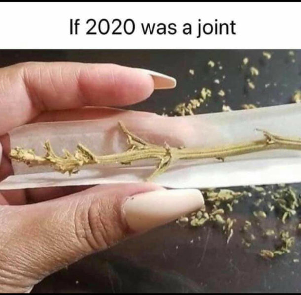 pretty true