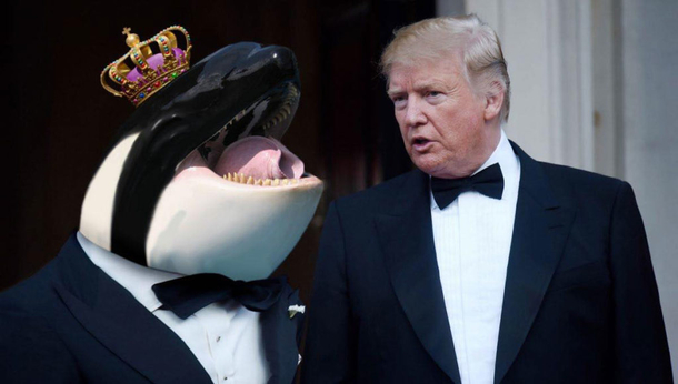 Prince of Whales