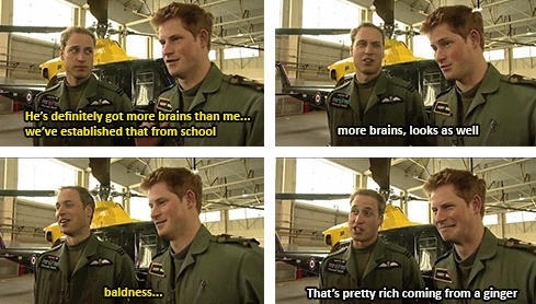 Princely Rivalry