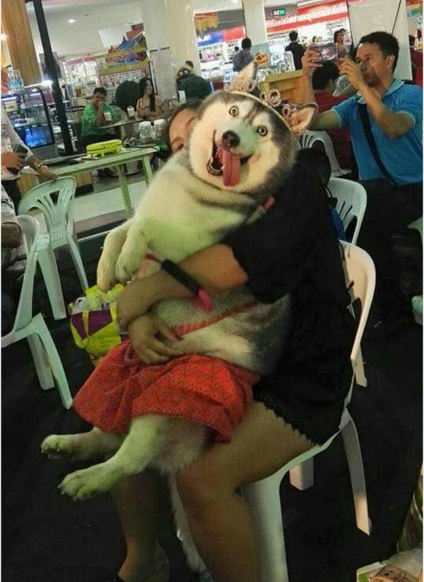Princess Derp