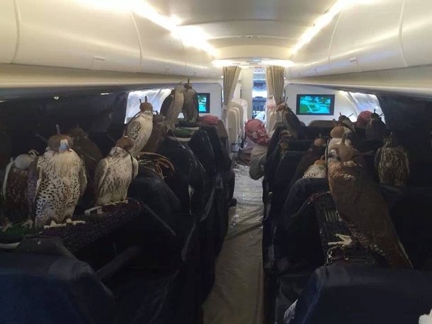 Private jet