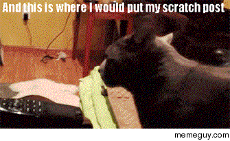 Probably my favorite gif