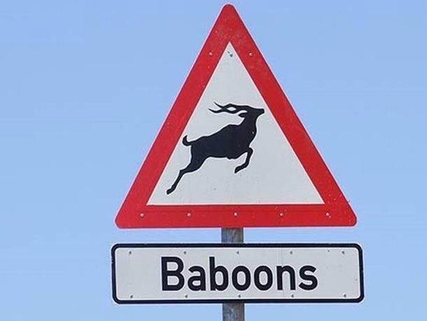 Probably my favorite sign ever