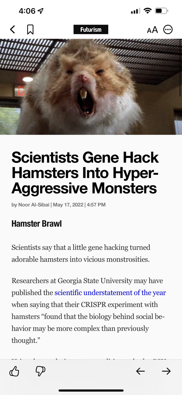 Probably the best headline of the day