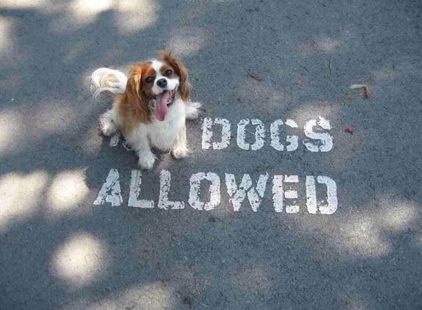 Problem solved