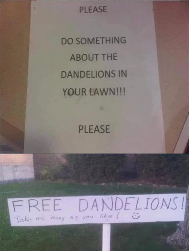 problem solved guy Problem solved