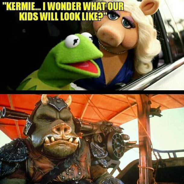 Prog Frig