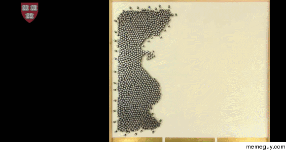 Programmable self assembly a thousand Kilobot swarm