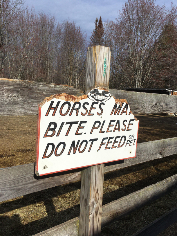 Proof horses may bite