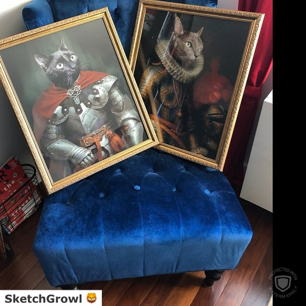 Proof That Cats Are Mans Best Friend
