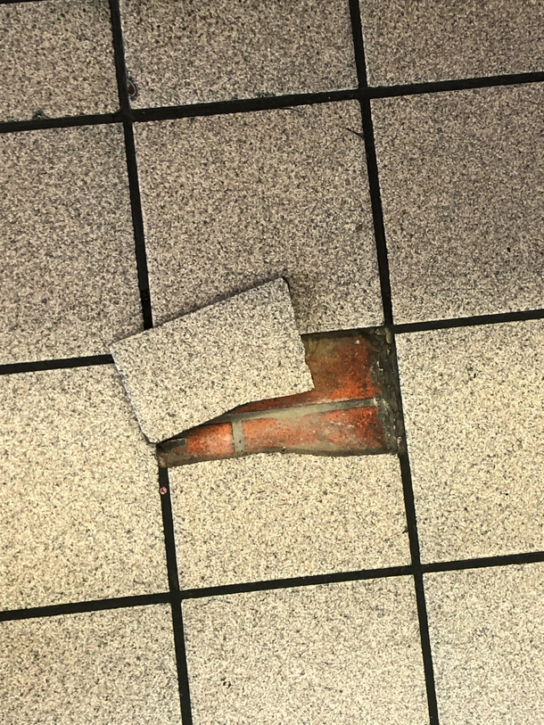 Proof that the floor is made out of floor
