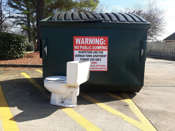 Public Dumping