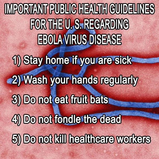 Public health guidelines on ebola from chan