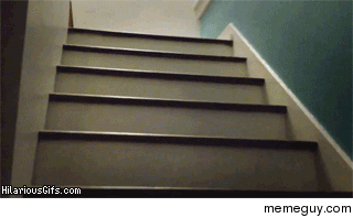 Pug climbing stairs