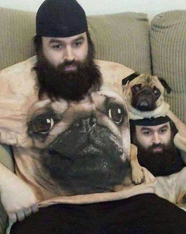 Pug shirt