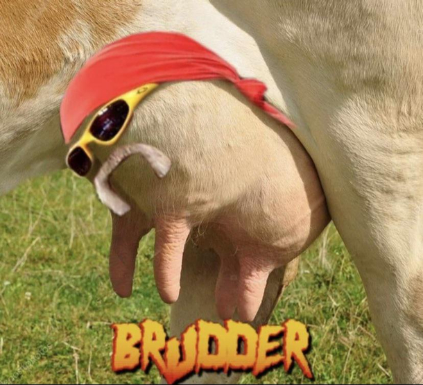 Pull my finger