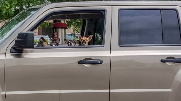 Pulled up next to the most effective car alarm system Id ever seen