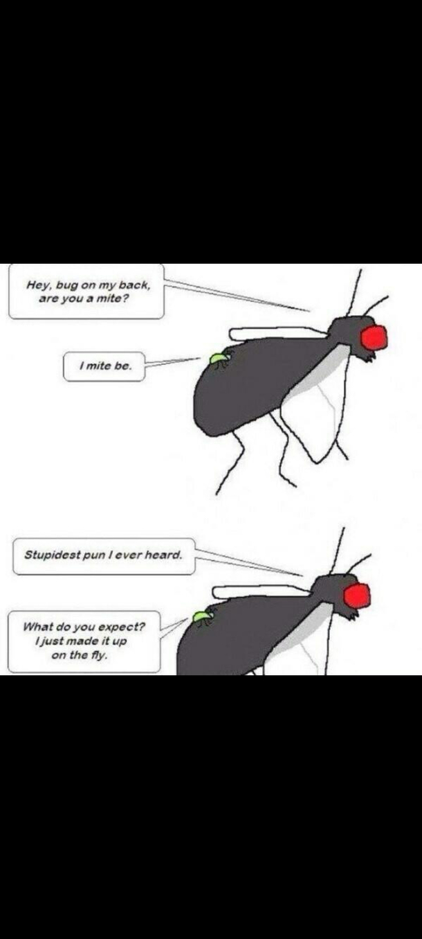 Punny mite
