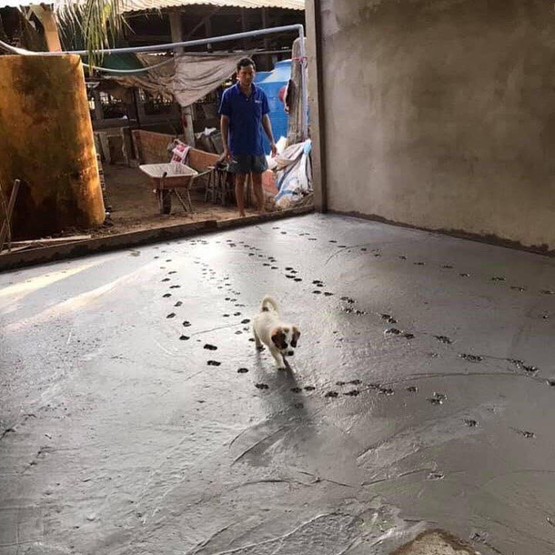 Pupper cemented its place in the family