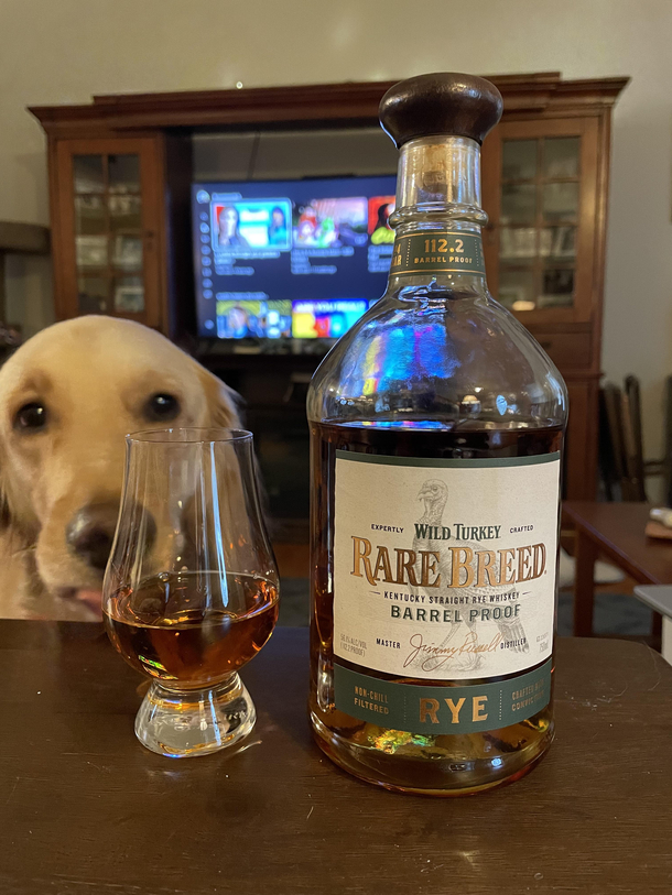 Pupper wants a dram