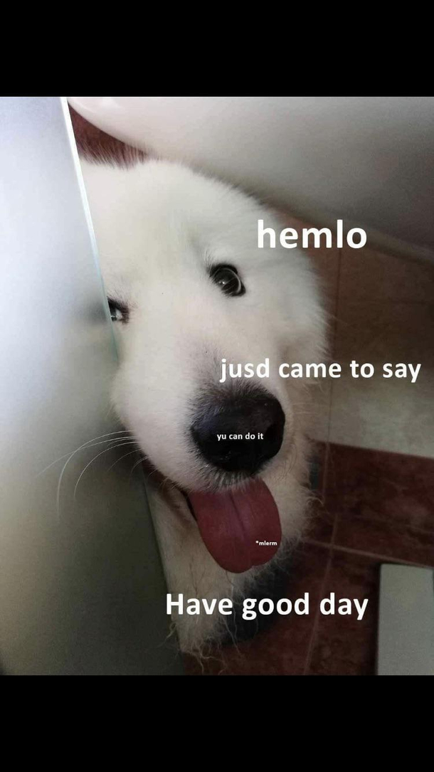 Puppet doin a wholesome
