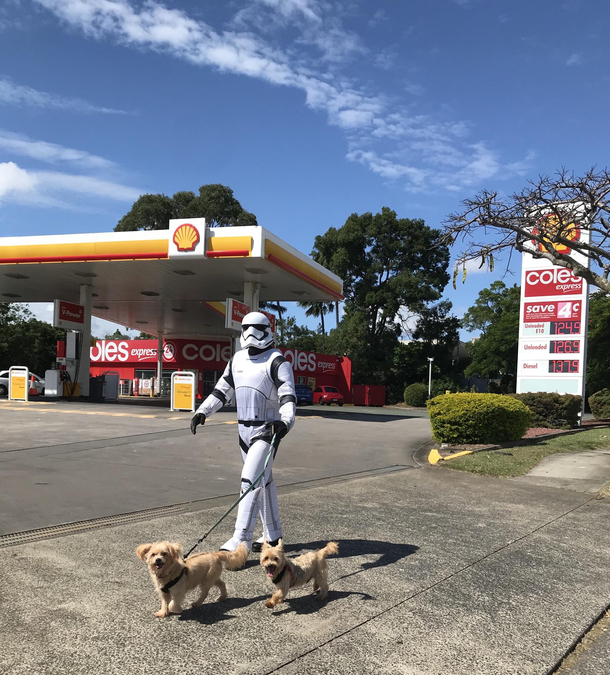 Puppies taking a Stormtrooper for a walk - even Stormtroopers need exercise 