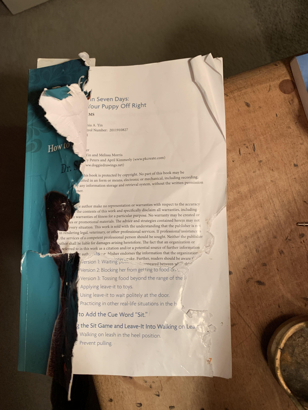 Puppy chewed the cover off the puppy training book