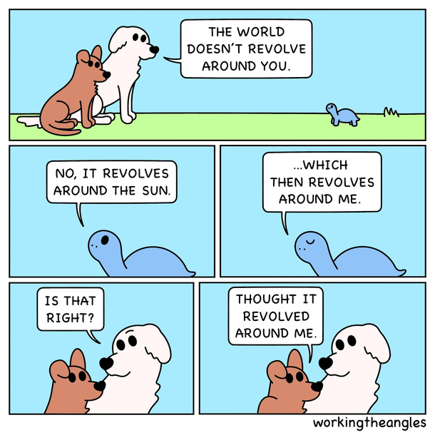 Puppy Logic