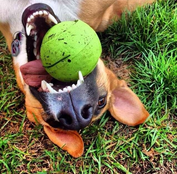 Pure happiness