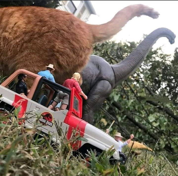 Purrasic park