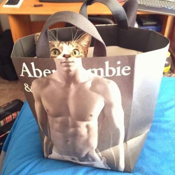 Purrfectly cathletic