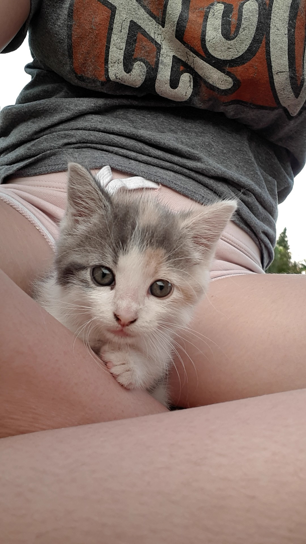 Pussy shot