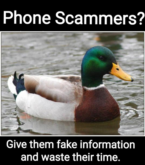 Put them on speakerphone and give em fake numbers