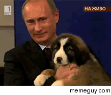 Putin and his puppy