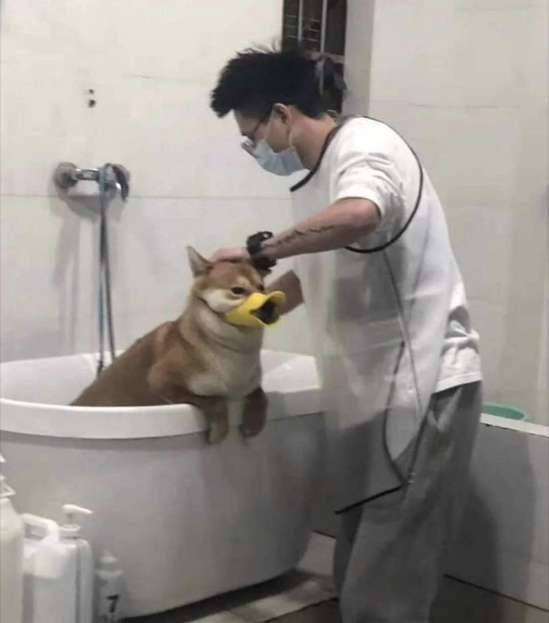 Quack quack I was taking a bath 
