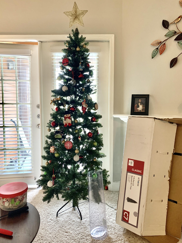 Quarantine day  Finally taking down our Christmas tree