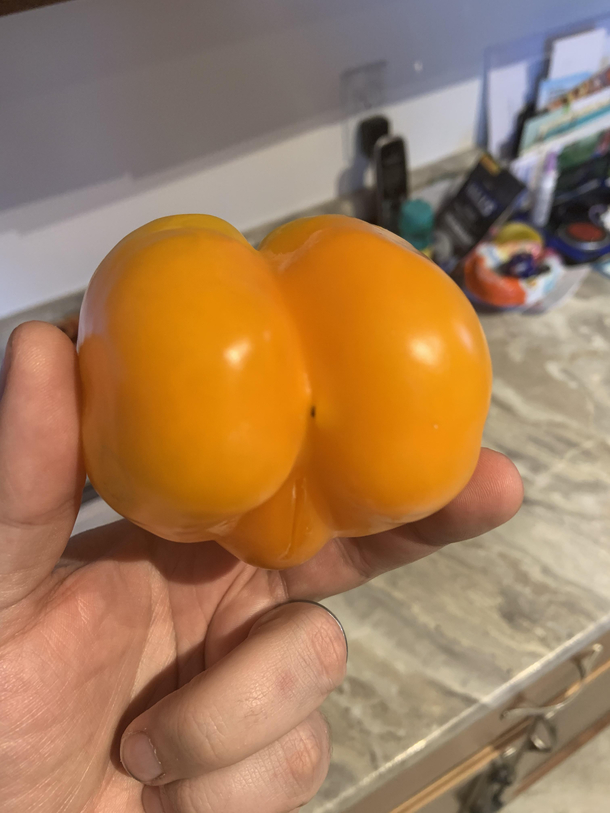 Quarantine Day  This pepper lookin thicc af