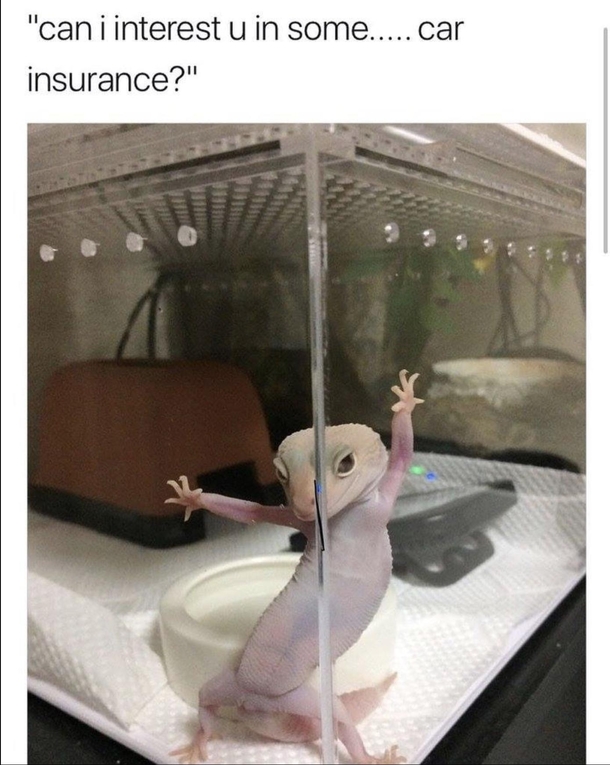 QUICK HES ONTO US