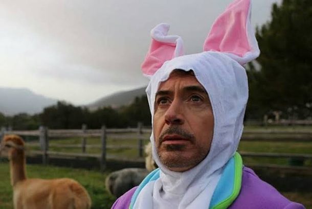 Rabbit Downey Jr