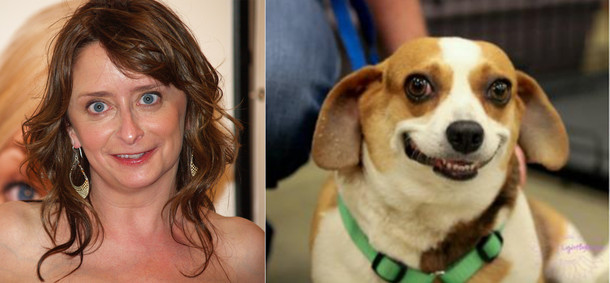 Rachel Im sorry I couldnt resist