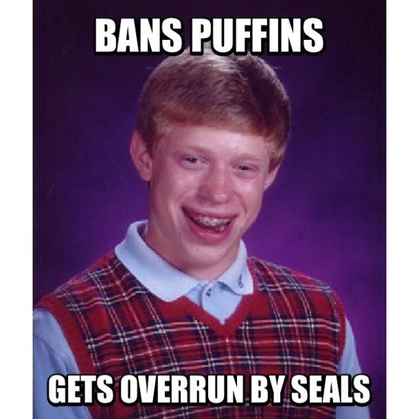 radviceanimals on the front page lately