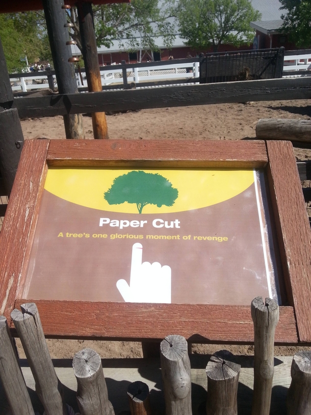 Randomly placed in a petting zoo