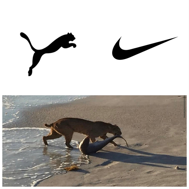 rare collaboration