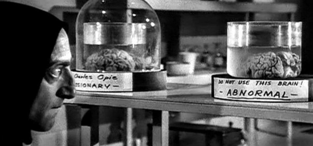 Rare photo of an Apple tech choosing Siris brain