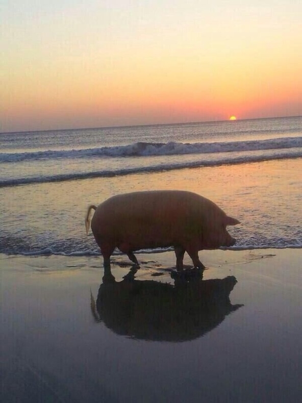Rare picture of me at the beach last summer