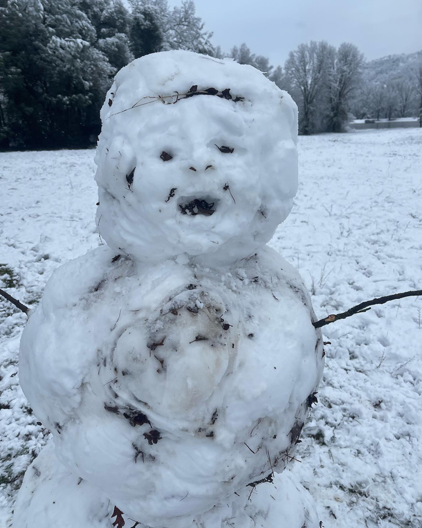 Rare snowfall in California Friend set out to make a realistic snowman